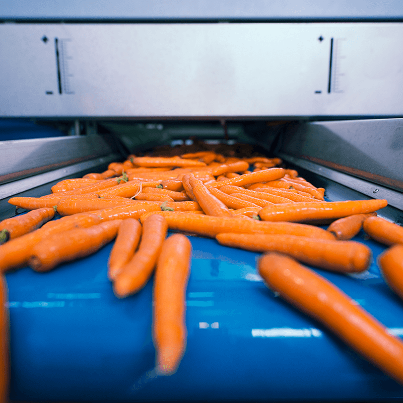control de plagas y desinfeccion en industria Alimentaria