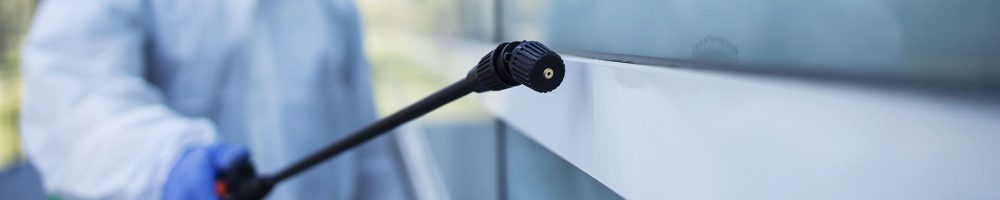 Desinfeccion de plagas de cucarachas en santa pola - Sanitae